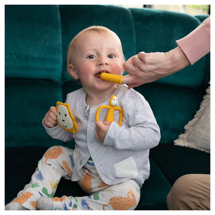 Matchstick Monkey Teething Starter Set Lion