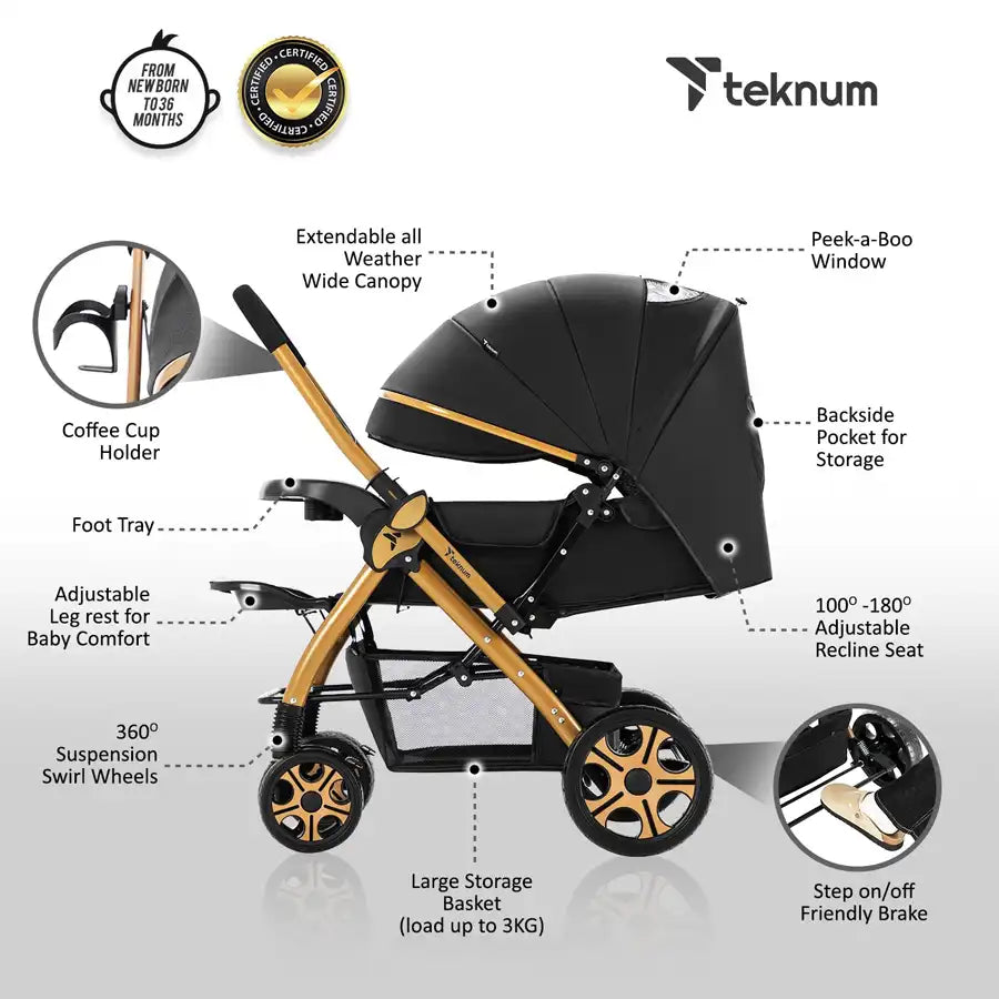 Teknum Reversible Trip 2 Stroller (Black)