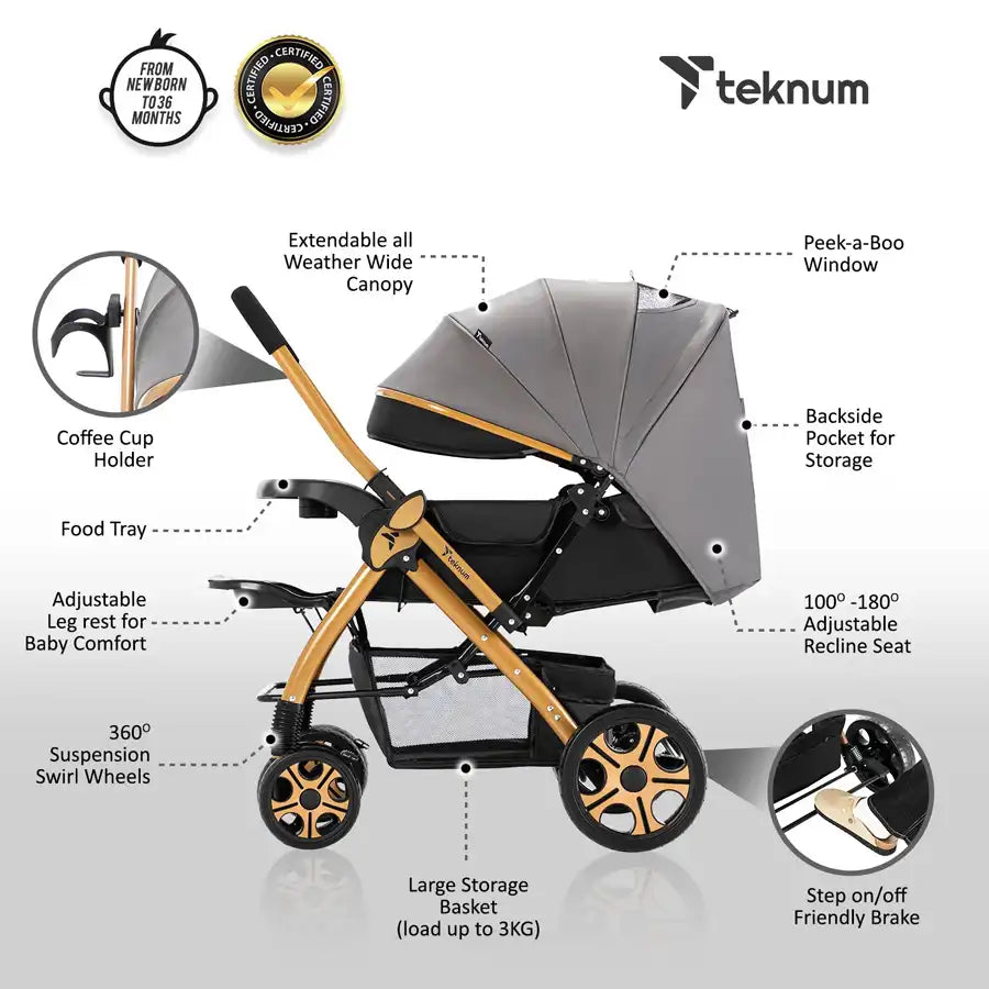 Teknum Reversible Trip 2 Stroller (Grey)