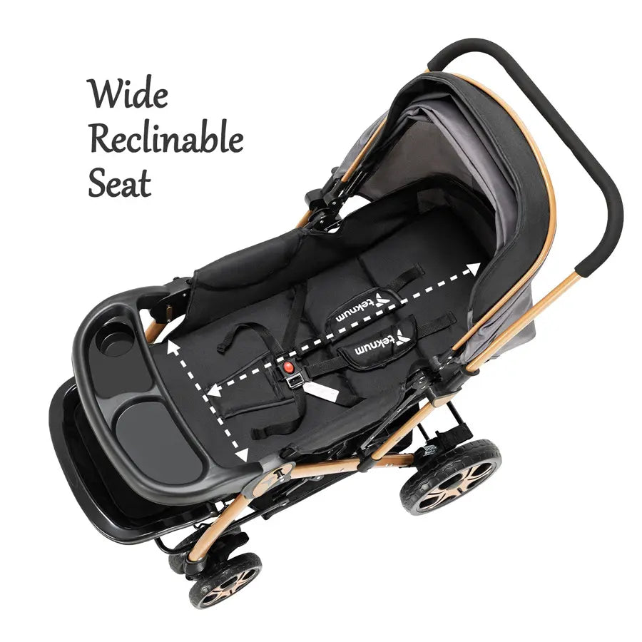 Teknum Reversible Trip 2 Stroller (Grey)
