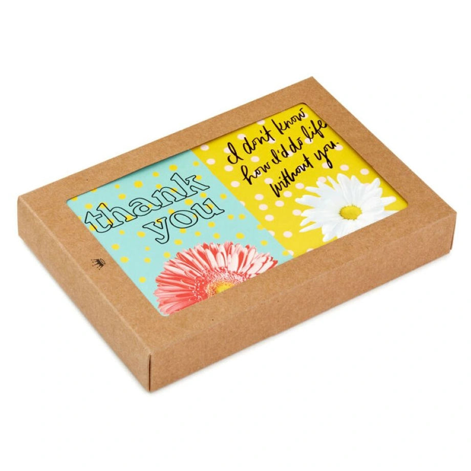 Hallmark Colorful Daisies Boxed Thank-You Notes (Pack of 50)