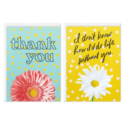 Hallmark Colorful Daisies Boxed Thank-You Notes (Pack of 50)