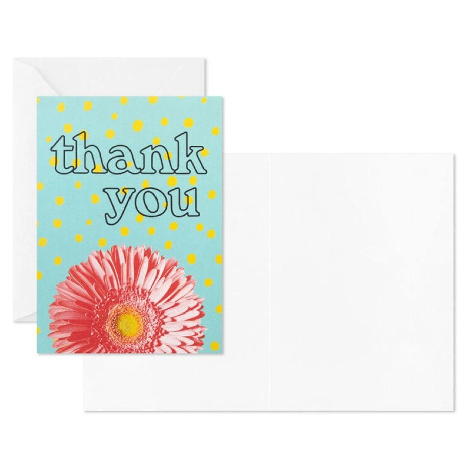 Hallmark Colorful Daisies Boxed Thank-You Notes (Pack of 50)