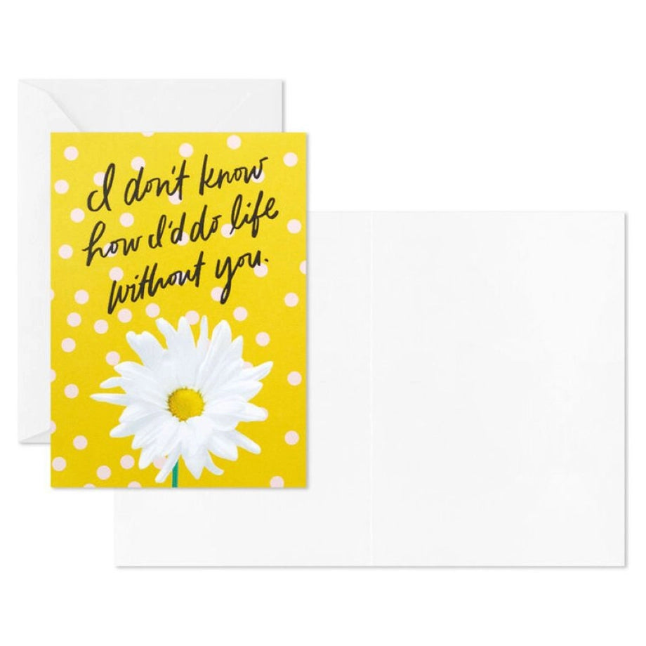 Hallmark Colorful Daisies Boxed Thank-You Notes (Pack of 50)
