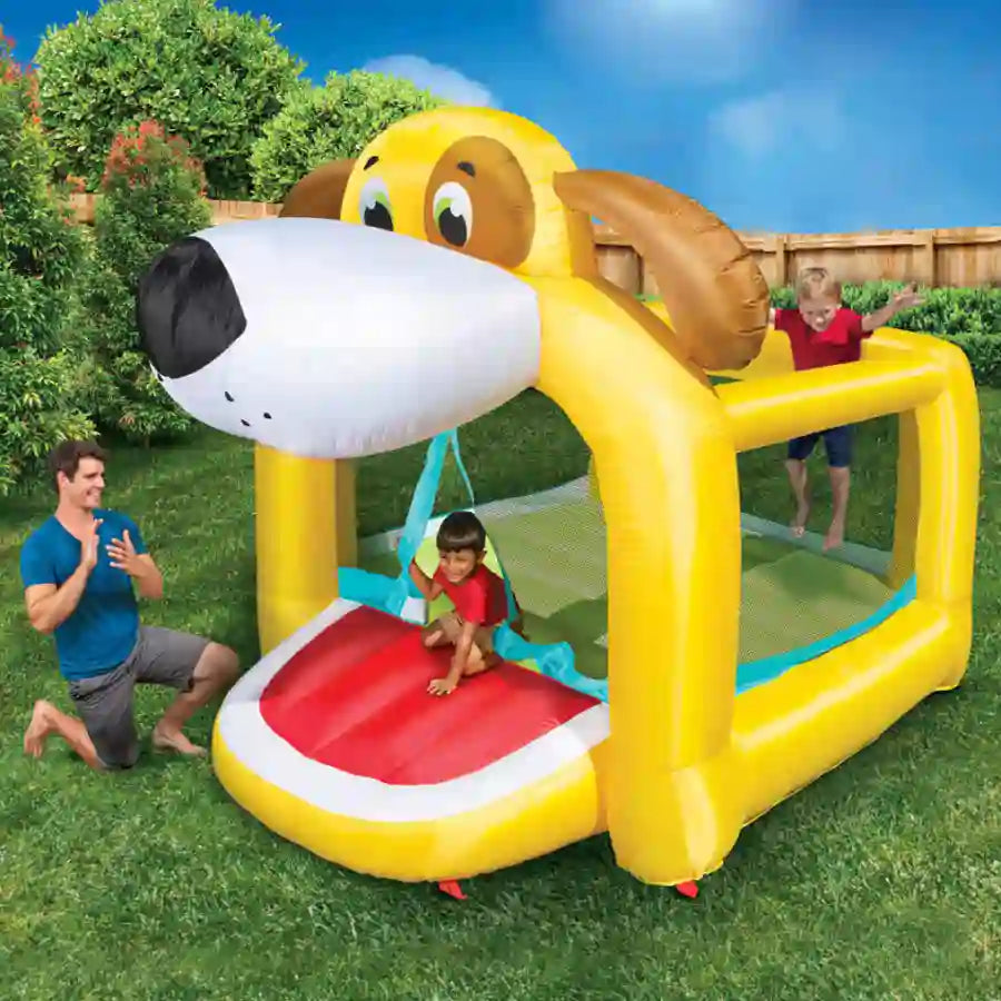 Banzai Playful Puppy Bouncer