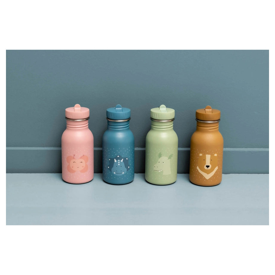 Trixie Stainless Steel Water Bottle 350ml (Mr Triceratops)