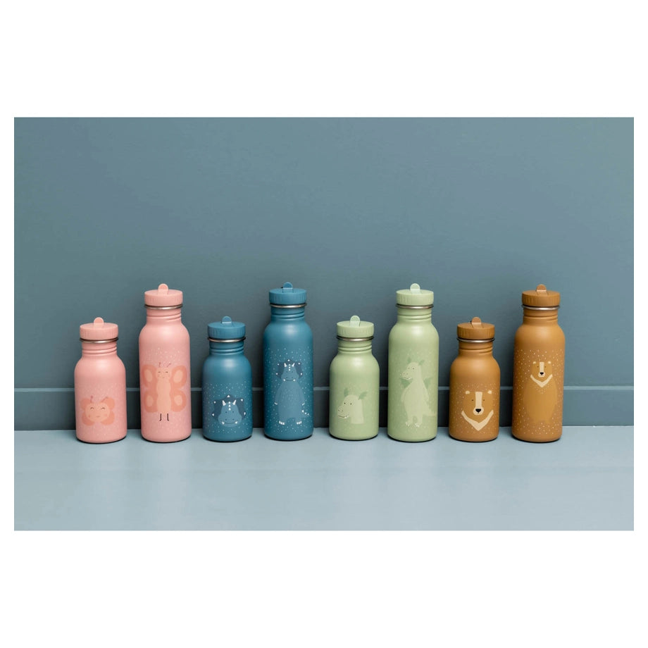 Trixie Stainless Steel Water Bottle 350ml (Mr Triceratops)
