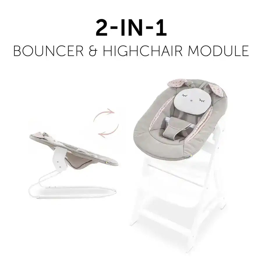 Hauck Bouncers Alpha Bouncer 2 In 1 (Beige Bloom)