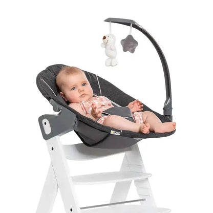 Hauck Bouncers Alpha Bouncer Deluxe (Grey)