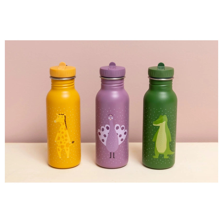Trixie Stainless Steel Water Bottle 500ml (Mr. Alligator)
