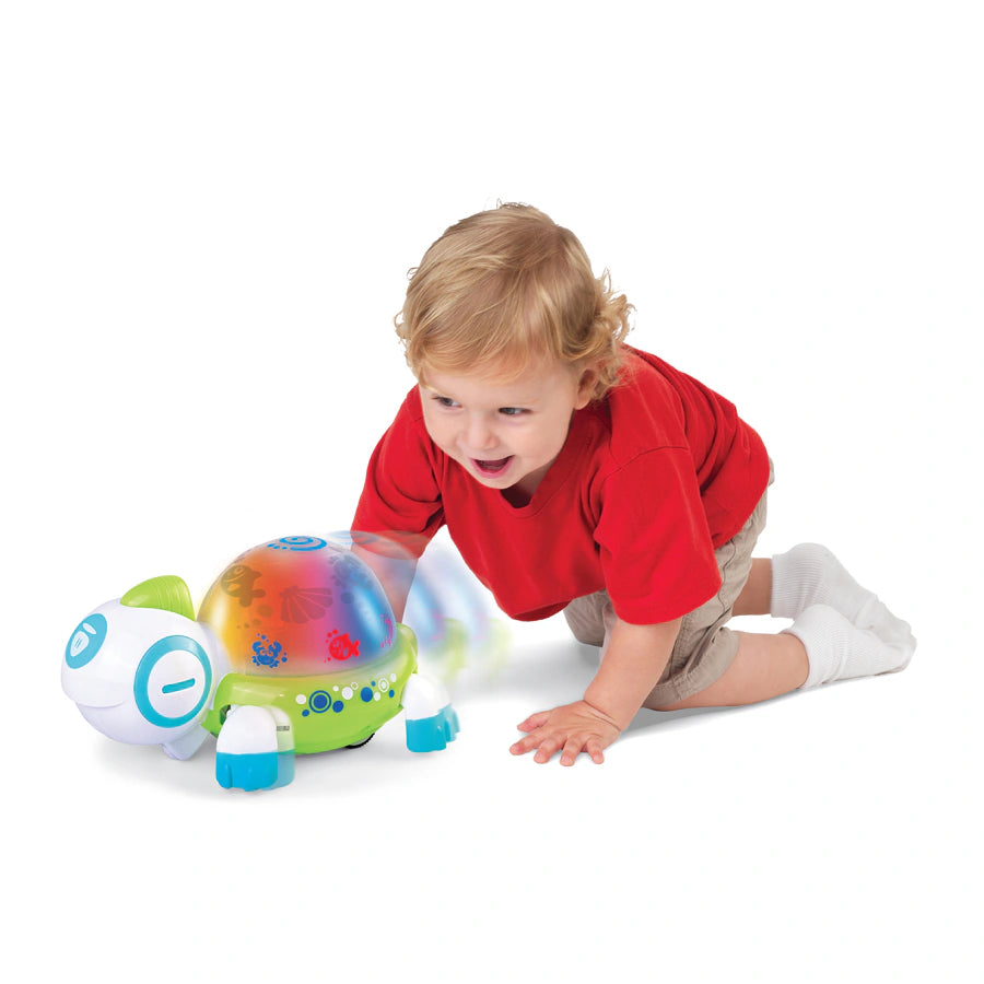 Little Learner Walk N Glow Turtle Little Learner Walk N Glow Turtle