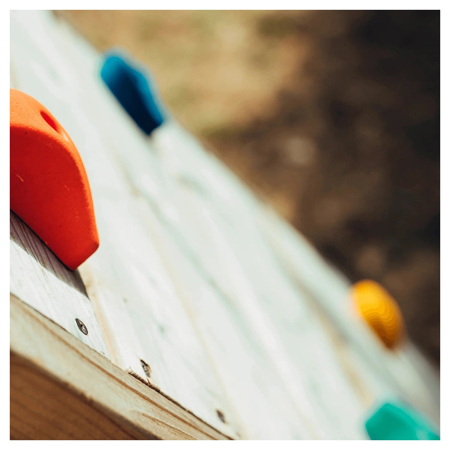 Plum Bison Wooden Climbing Frame