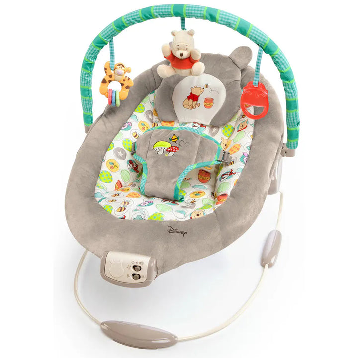 Bright Starts Winnie The Pooh Dots & Hunny Pots Bouncer