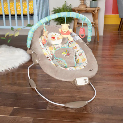 Bright Starts Winnie The Pooh Dots & Hunny Pots Bouncer