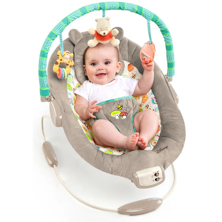 Bright Starts Winnie The Pooh Dots & Hunny Pots Bouncer