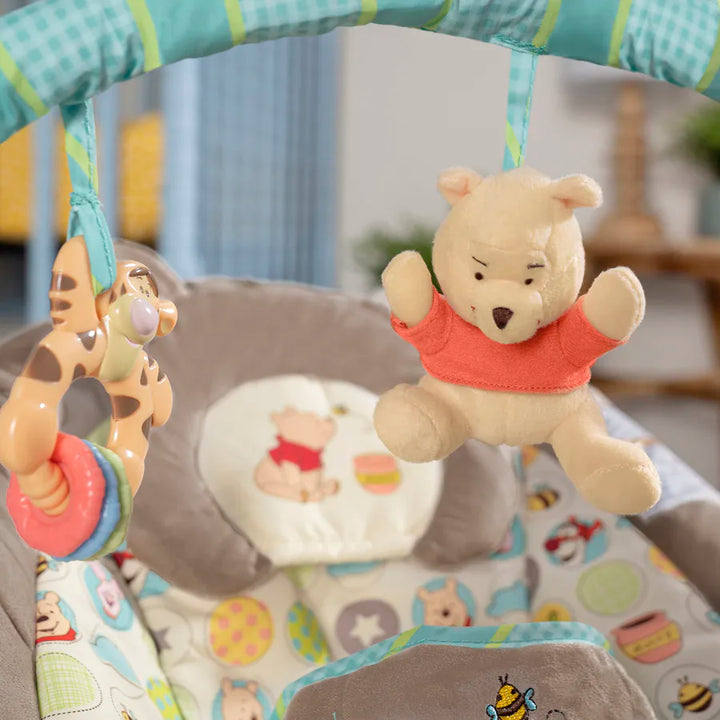 Bright Starts Winnie The Pooh Dots & Hunny Pots Bouncer