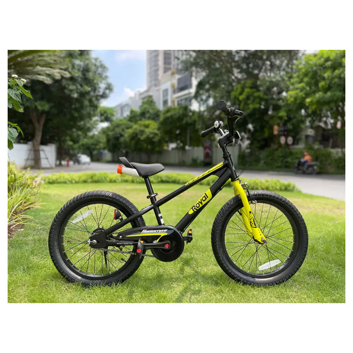RoyalBaby Ez Freestyle 16" (Black)