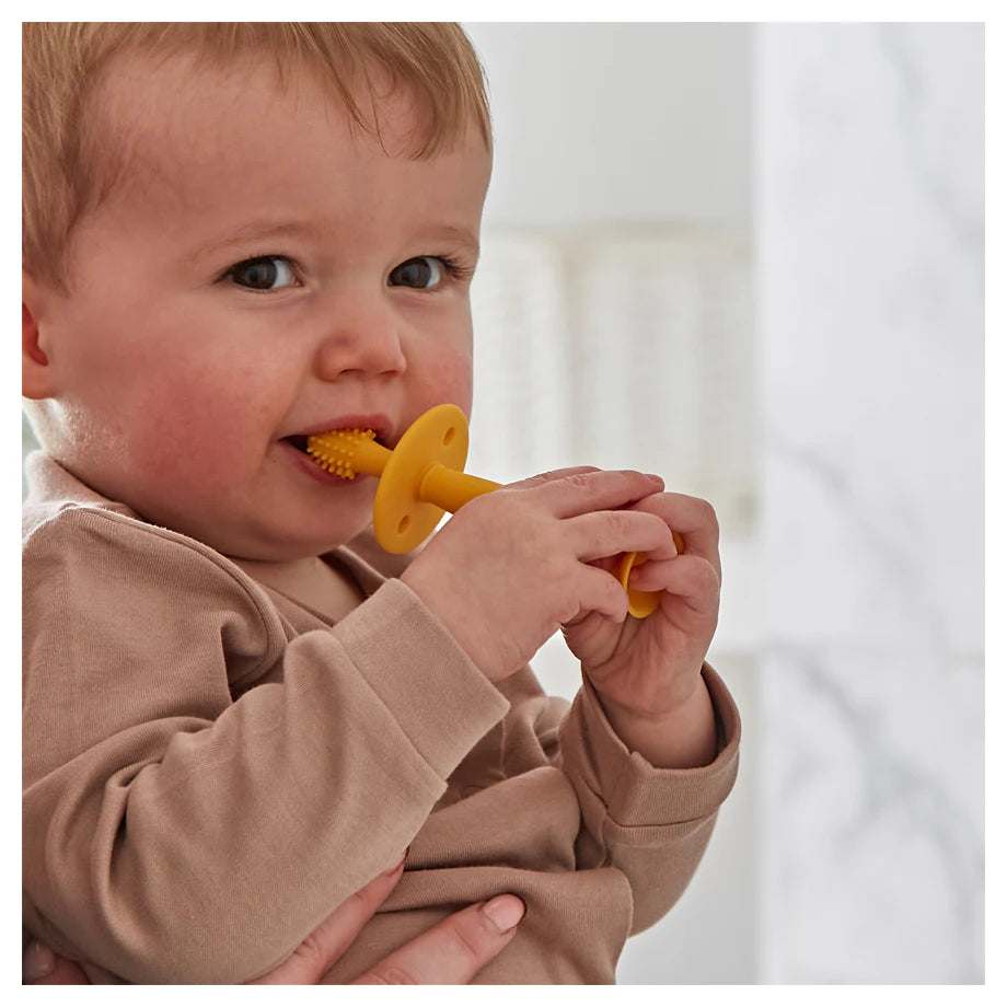 Matchstick Monkey Training Toothbrush With Stopper Lion and Giraffe Matchstick Monkey Training Toothbrush With Stopper Lion and Giraffe