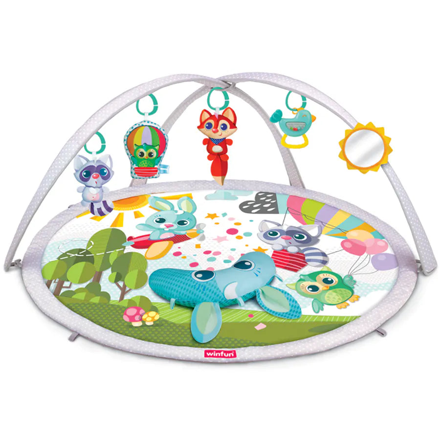 صالة الألعاب الرياضية Winfun Babyspace