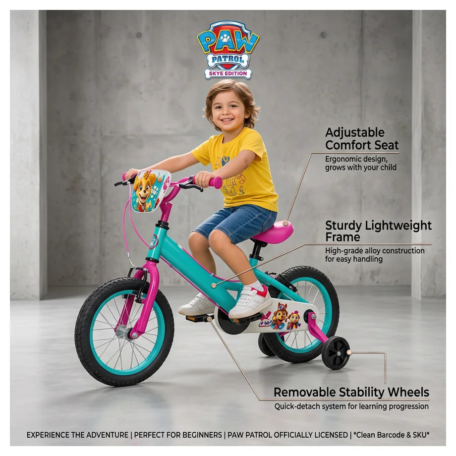 Ryder 16 Inch Bike With Diy Sky & Everest Deco Set