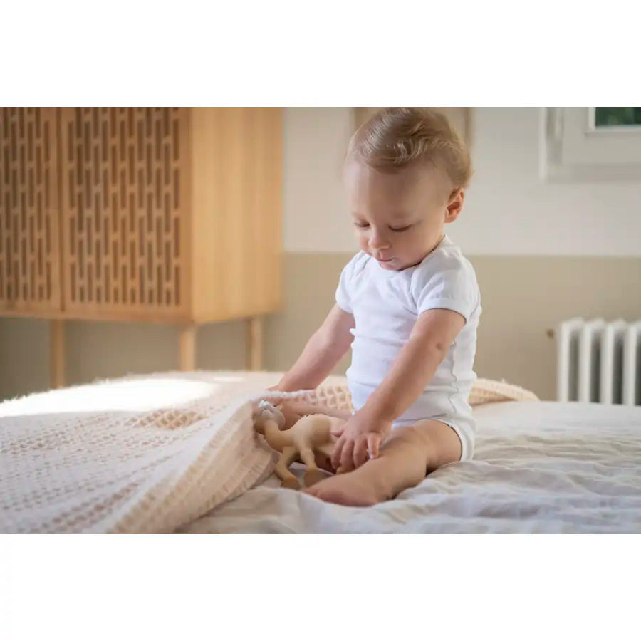 صوفي الزرافة Il Etait Une Fois Al'Thir صوفي الزرافة Il Etait Une Fois Al'Thir