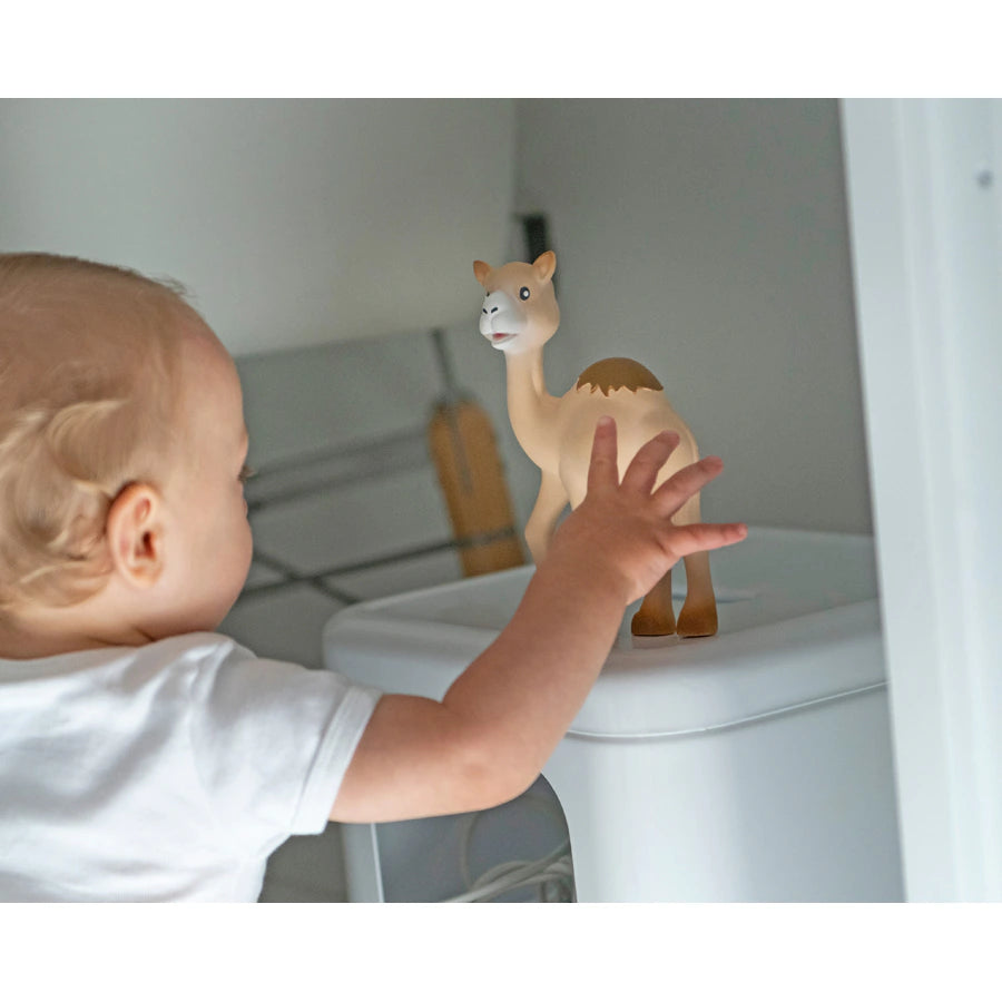 صوفي الزرافة Il Etait Une Fois Al'Thir صوفي الزرافة Il Etait Une Fois Al'Thir