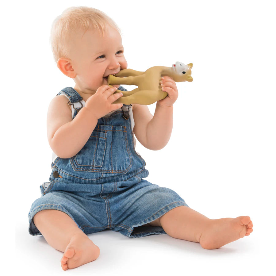 صوفي الزرافة Il Etait Une Fois Al'Thir صوفي الزرافة Il Etait Une Fois Al'Thir