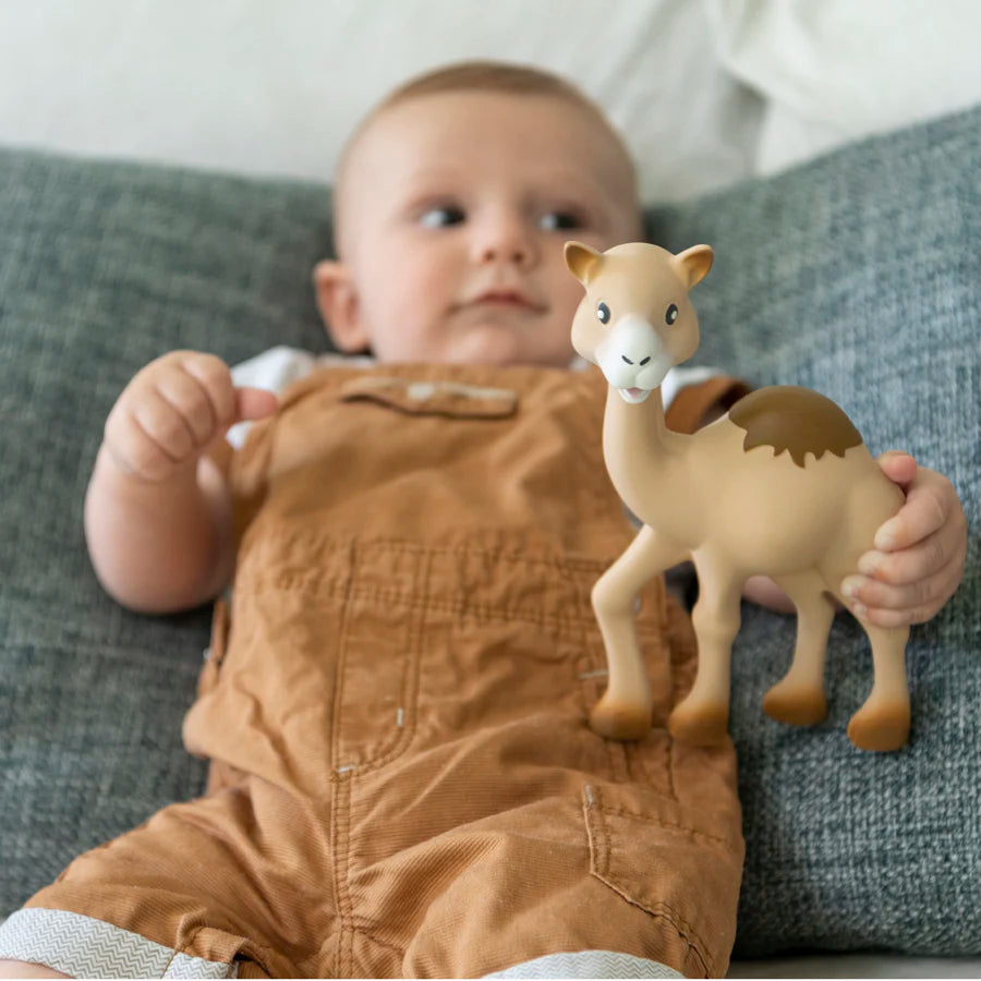 صوفي الزرافة Il Etait Une Fois Al'Thir صوفي الزرافة Il Etait Une Fois Al'Thir