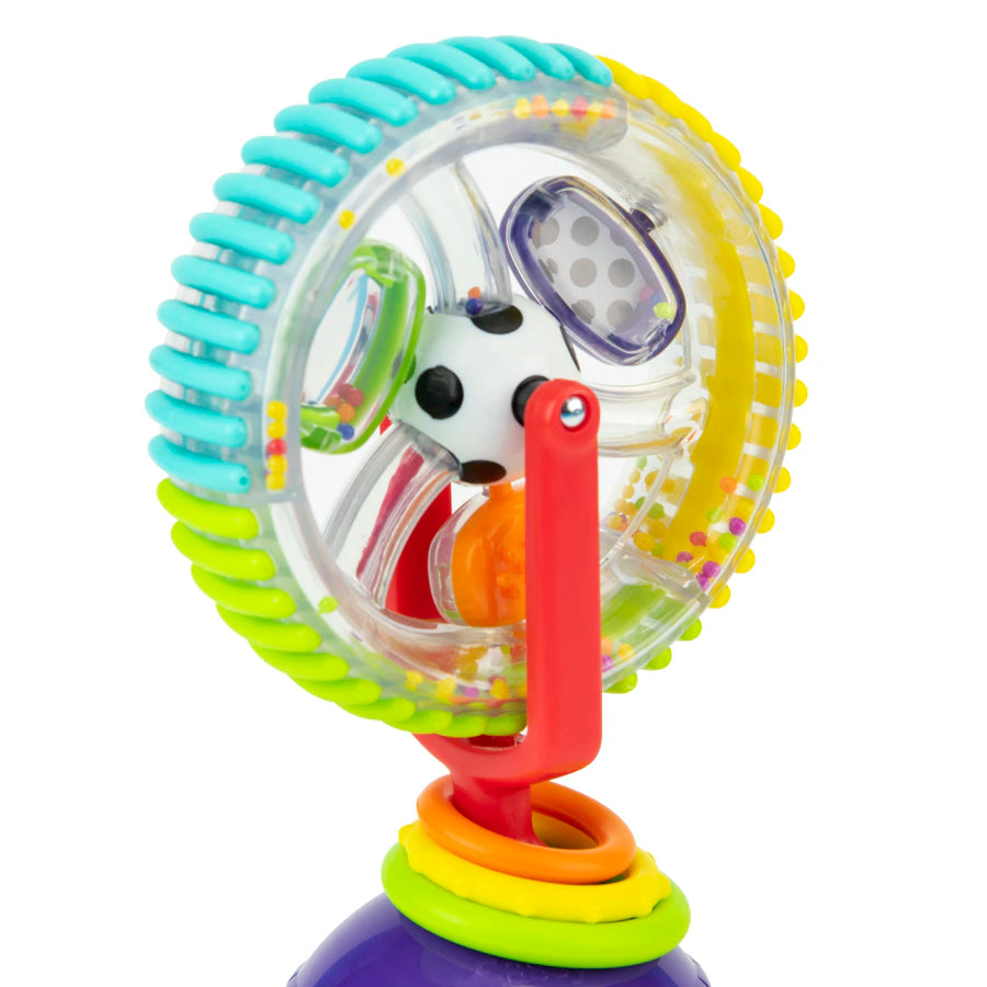Sassy Wonder Wheel Sassy Wonder Wheel