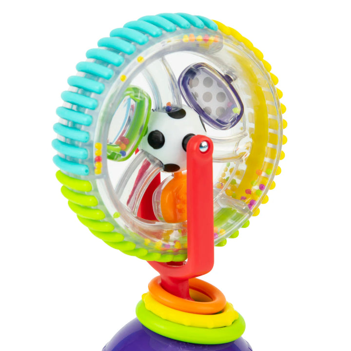 Sassy Wonder Wheel