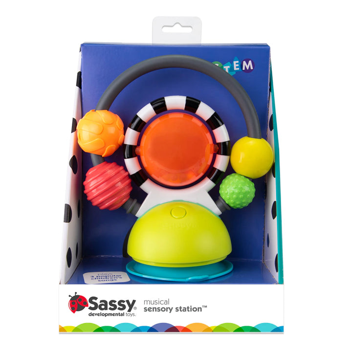 Sassy Musical Sensory Station