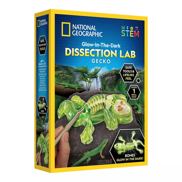 National Geographic Glow-In-The-Dark Gecko Dissection Lab