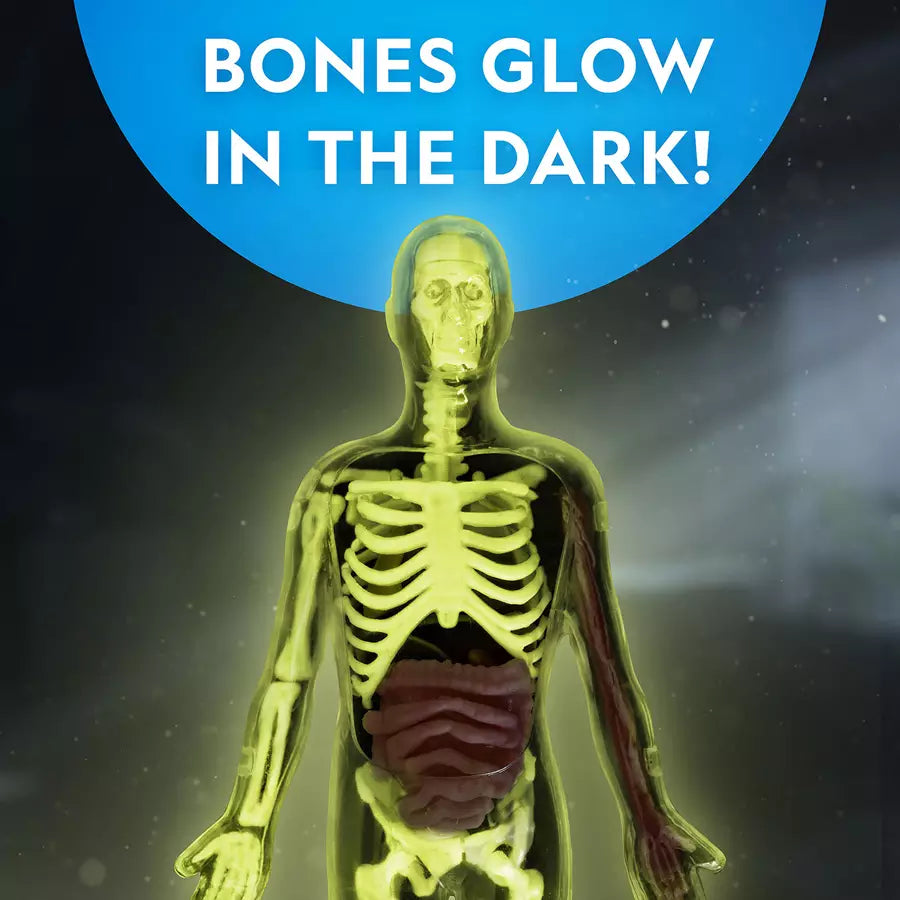 الوطنية جيوجرافيك جلاو -آينث دارك هومان بودي