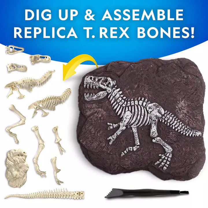 National Geographic Tyrannosaurus Rex Dig Kit