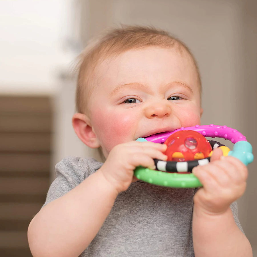Sassy Spin & Chew Flexible Ring Rattle Sassy Spin & Chew Flexible Ring Rattle
