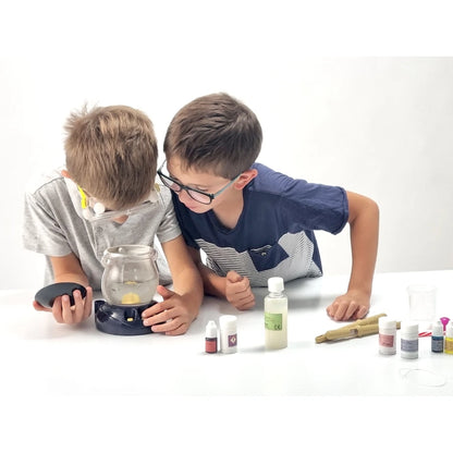 Buki France Wizard Chemistry Kit