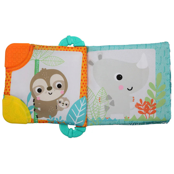 Bright Starts Teethe & Read Toy