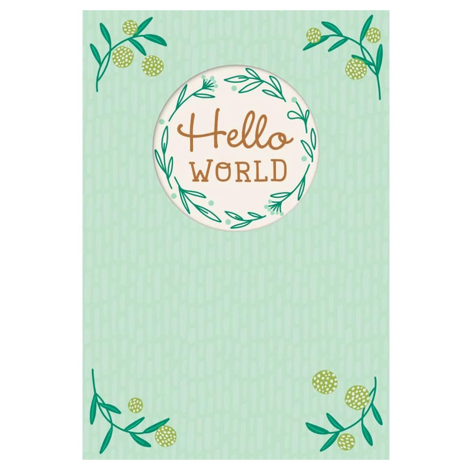 Hallmark Baby Monthly Milestone Stickers for Baby