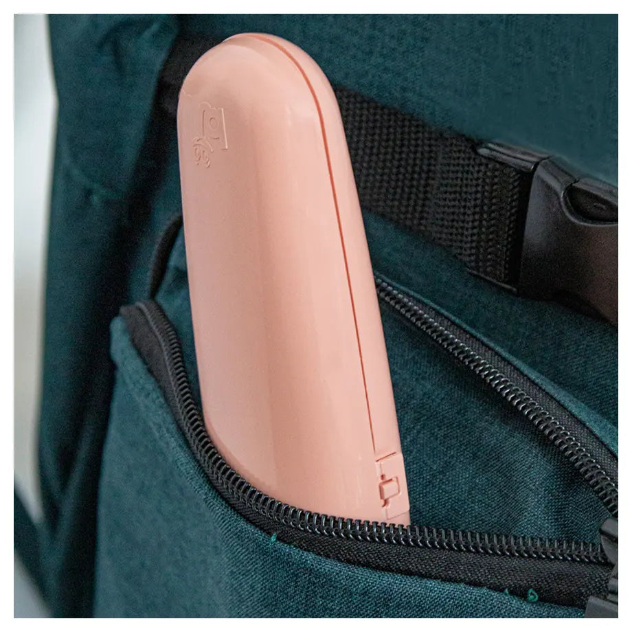 Babyjem Plastic Fork & Spoon Travel Case, 6+ Months (Rose)