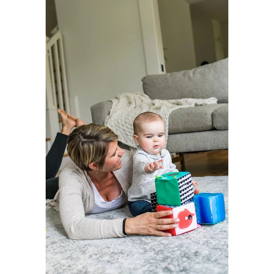 Baby Einstein Explore & Discover Soft Toy Baby Einstein Explore & Discover Soft Toy