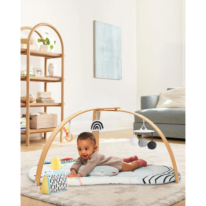 Skip Hop Discoverosity Activity Gym
