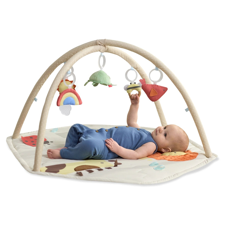 Skip Hop Geometric Wonders Play Gym