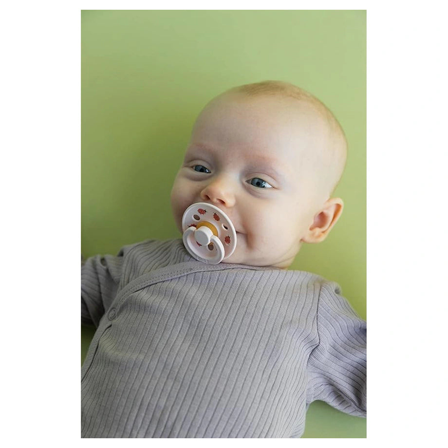 Bibs Pacifier Studio Colour Ladybug Latex 2 Pack Size 1 (Violet Sky Mix)