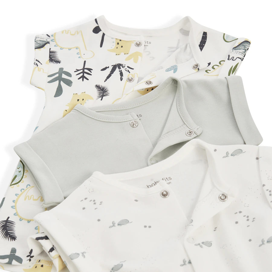 طقم ملابس نوم للأطفال من القطن العضوي من Babyfits، عبوة من 3 قطع بتصميم ديناصور طقم ملابس نوم للأطفال من القطن العضوي من Babyfits، عبوة من 3 قطع بتصميم ديناصور