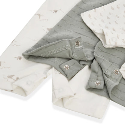Babyfits Organic Cotton Rompers Bird Pack of 3 (New Born)