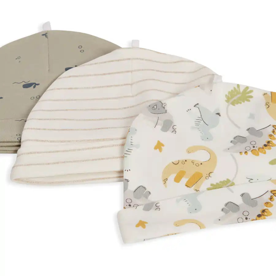 Babyfits Organic Cotton Caps Dino Pack of 3 (0-6m)