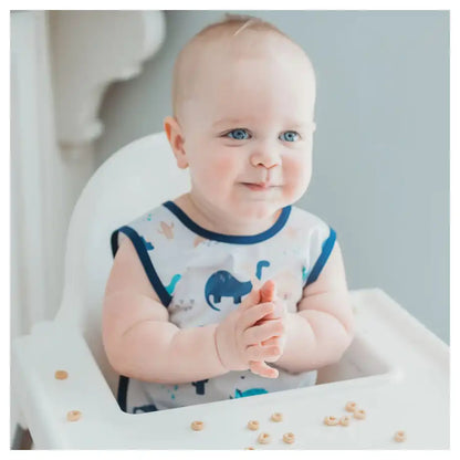 Bapronbaby Feeding Bib (Desert Dinos)