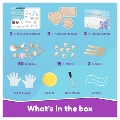 Bloomingo Shell Creations DIY Craft Kit