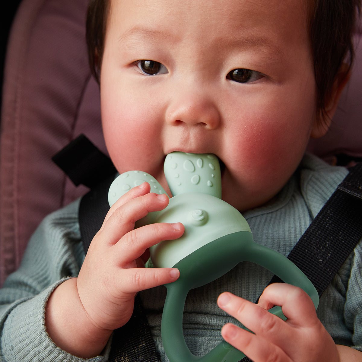 Bbox Chill & Fill Teether (Sage) Bbox Chill & Fill Teether (Sage)