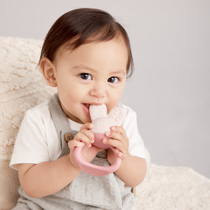 Bbox Chill & Fill Teether (Blush)